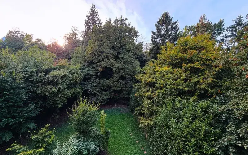 Großzügige 3-Zimmer-Wohnung mit Balkon und Grünblick in Alt-Saarbrücken – Blick vom Balkon ins Grüne