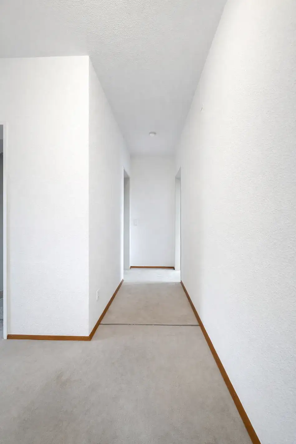 Vermietete 3-Zimmer-Wohnung mit Loggia, Aufzug und Einzelgarage in guter Lage von Homburg – Flur1